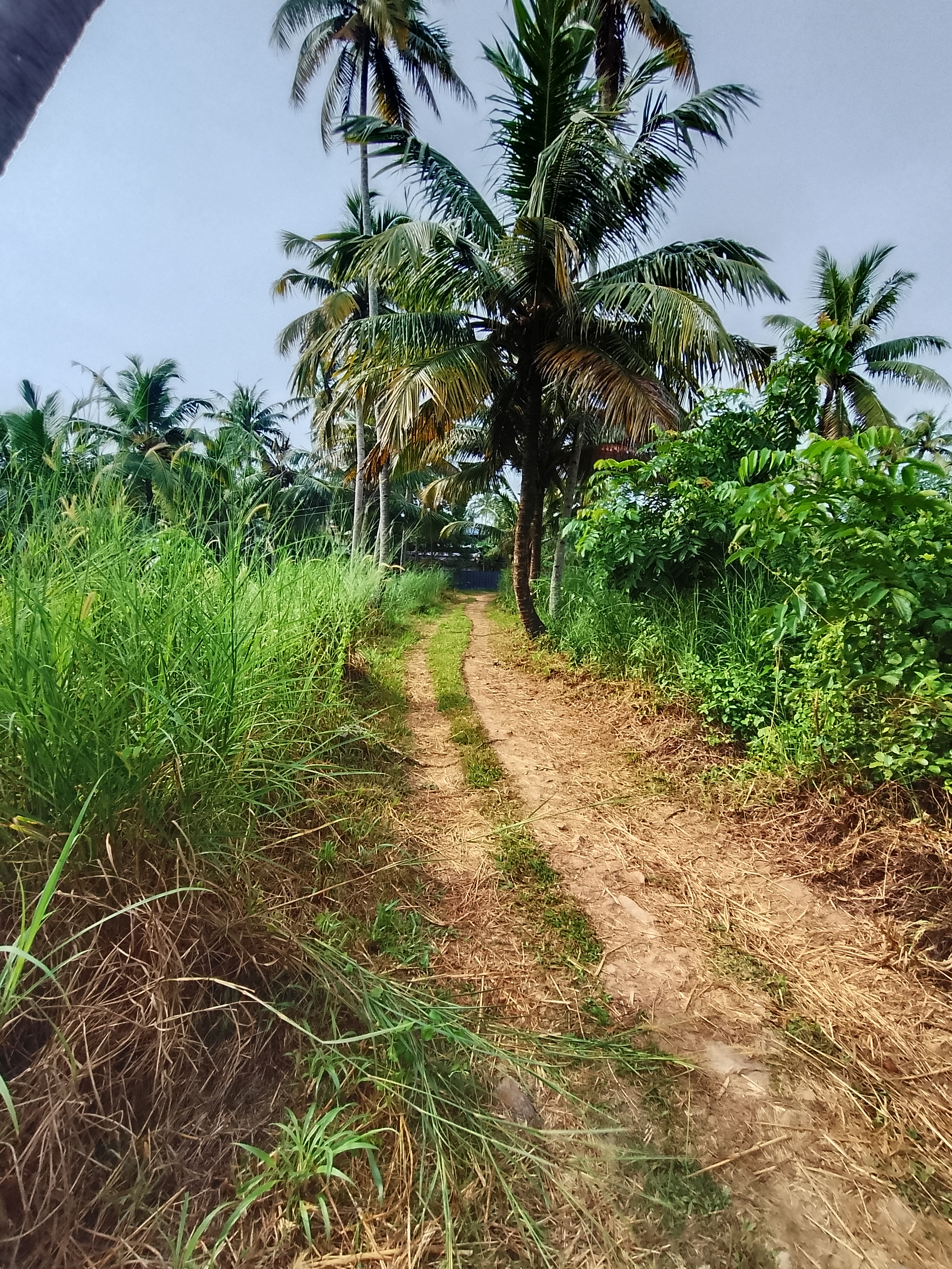 Good land for sale