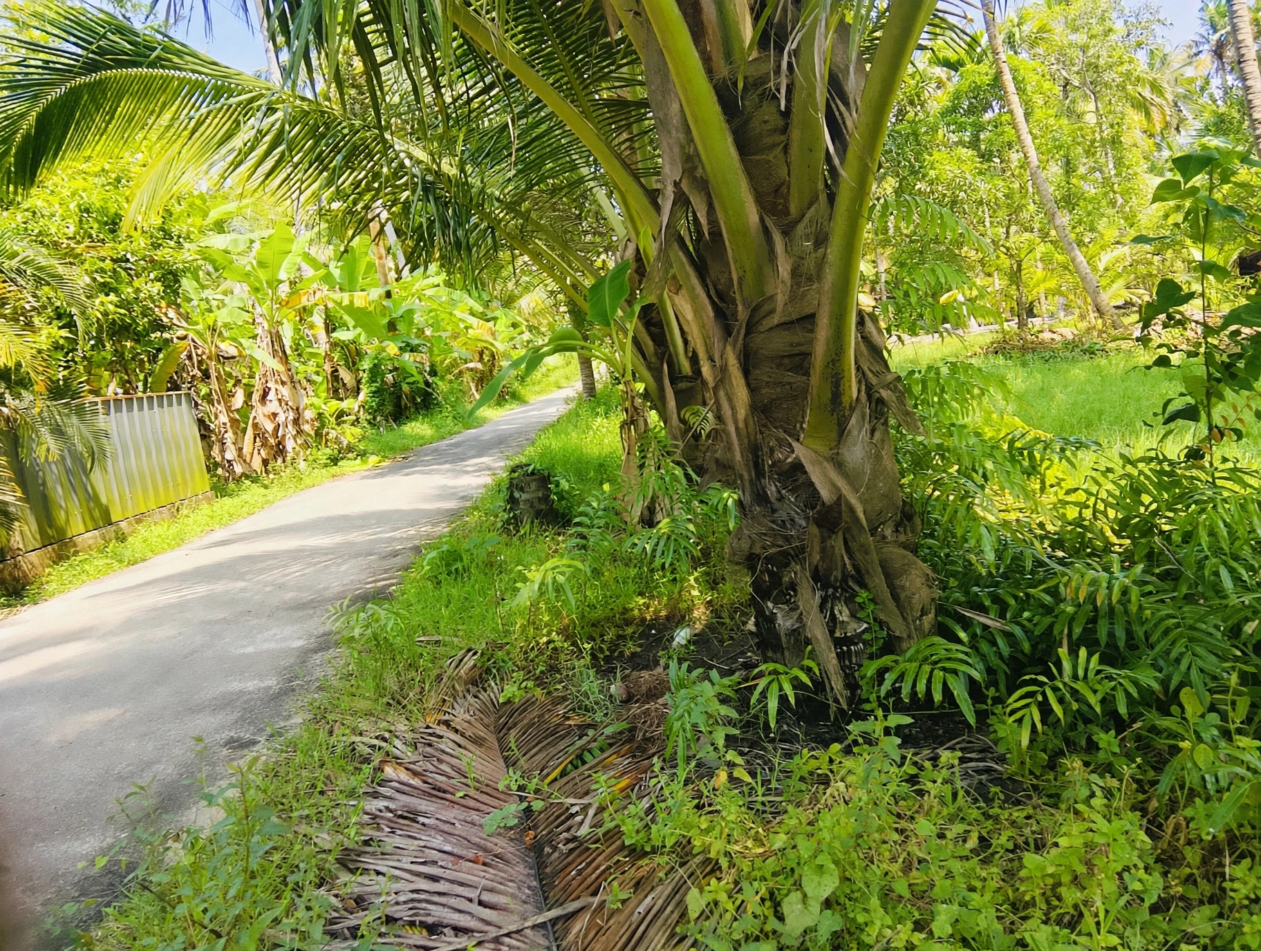 16 Cents Land For Sale in Haripad | 2 Lakh Per Cent | Road Side Property | With Compound Wall