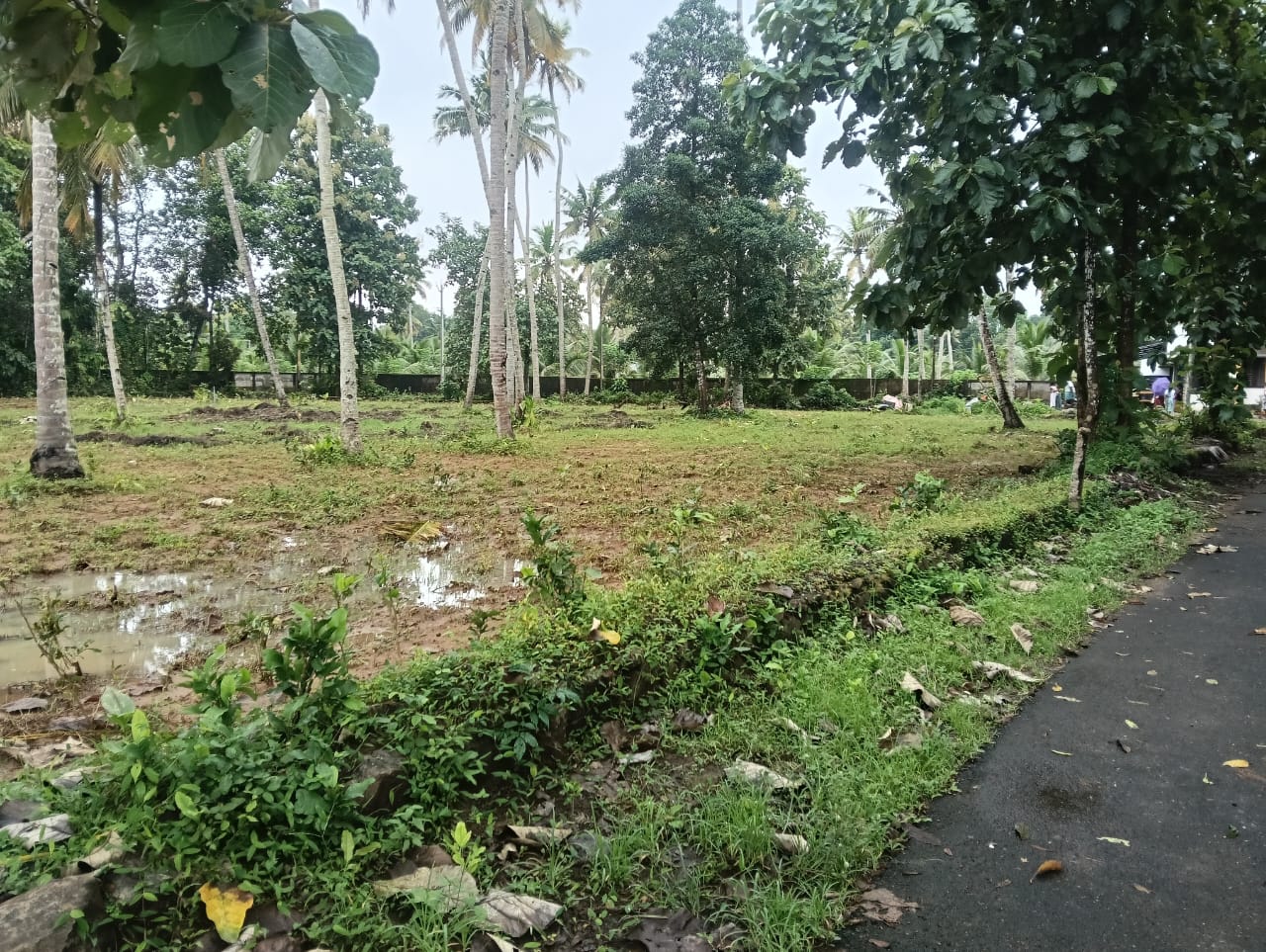 Kandiyoor